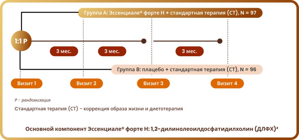 Group 1077239682 (1).png