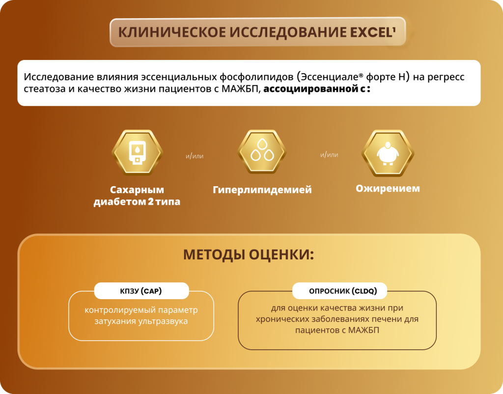 Group 1077239678.png